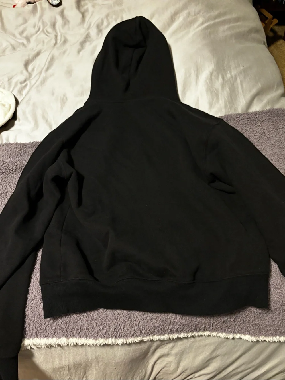 Aritzia hoodie